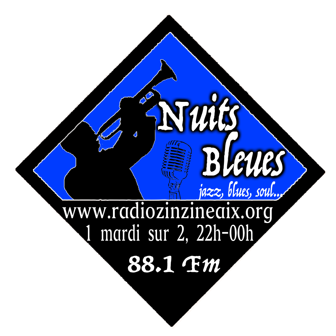 logo nuits bleus losange